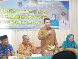 Lomba Desa/Kelurahan Tingkat Provinsi Digelar, Wabup Katamso Apresiasi Inovasi Senyerang