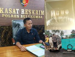 Polres Bulukumba Ungkap Kasus Pencurian 11 Ekor Sapi , Satu Orang Diamankan di Sinjai