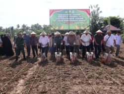 Kapolres Aceh Barat Pimpin Tanam Jagung Serentak Kuartal III Dukung Swasembada Pangan Asta Cita Presiden RI
