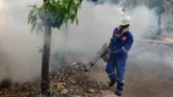 Pest Control IHC Perkuat Layanan Pengendalian Hama di Wilayah Permukiman dan Perkantoran