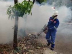 Pest Control IHC Perkuat Layanan Pengendalian Hama di Wilayah Permukiman dan Perkantoran