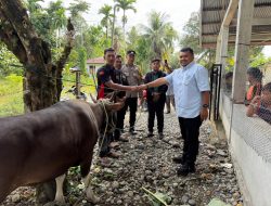 Anggota DPR RI JAMAL IDHAM Asal Nagan Raya Serahkan Bantuan Sapi untuk Keluarga Syuhada GAM
