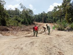 Satgas TMMD 127 Kodim 0116 Nagan Raya Terus berpacu Kerjakan Jalan Baru Desa