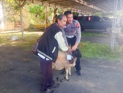 Polresta Magelang Distribusikan Hewan Kurban ke Masyarakat, Salah Satunya Melalui Yayasan Bilal Bin Rabah