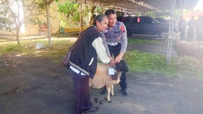 Polresta Magelang Distribusikan Hewan Kurban ke Masyarakat, Salah Satunya Melalui Yayasan Bilal Bin Rabah